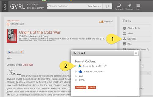 Google Drive Integration 